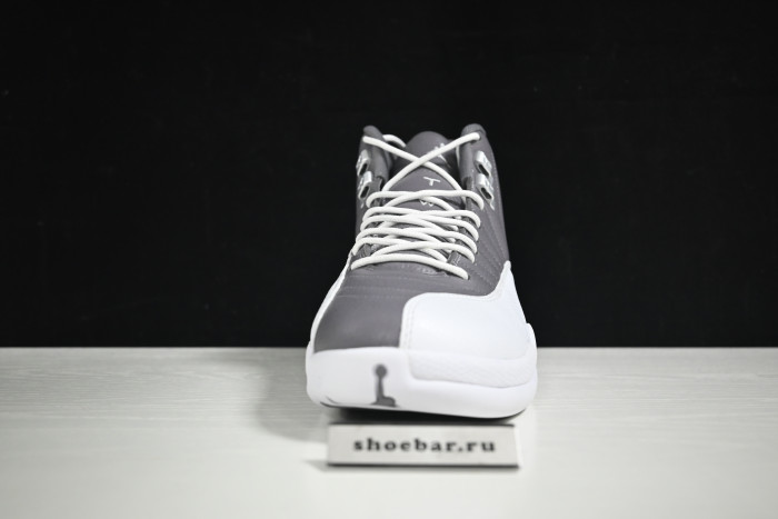 jordan 12 stealth white cool grey ct8025-610